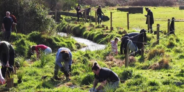 Makaracarpas Riparian Programme