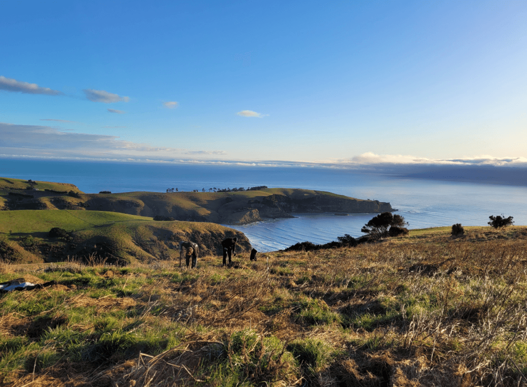 Ridgecliff